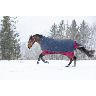 Coperta Equithème Tyrex 1200 D High Neck Coperta Equithème Tyrex 1200 D High Neck