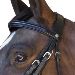 Briglia Pull Back Euro Canter Briglia Pull Back Euro Canter