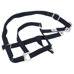 Set completo Riding World Set completo Riding World