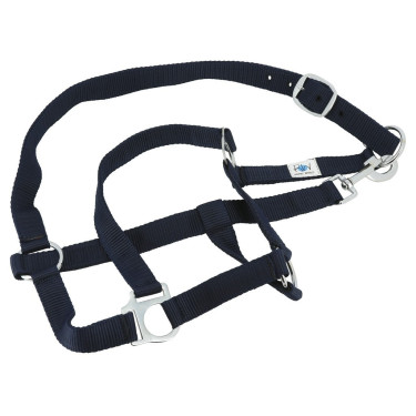 Set completo Riding World Set completo Riding World