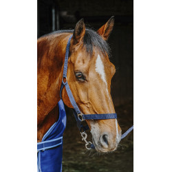 Set completo Riding World Set completo Riding World