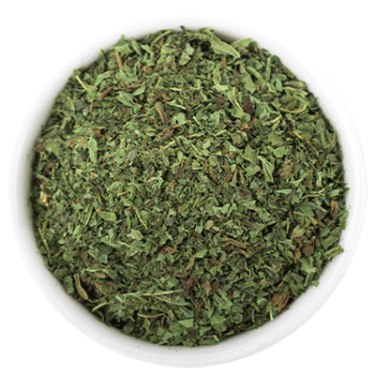 Menta pianta Hilton Herbs