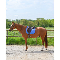 Tappetino GEM Love dressage Blu Francia