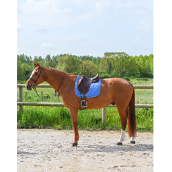 Tappetino GEM Love dressage Blu Francia