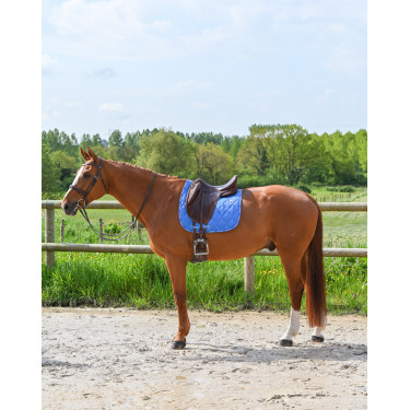 Tappetino GEM Love dressage Blu Francia