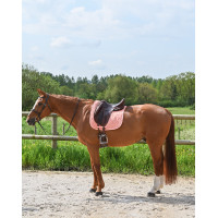 Tappetino GEM Love dressage Blu Francia Tappetino GEM Love dressage Blu Francia