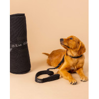 Tapis pour chien GEM 60 x 80 cm