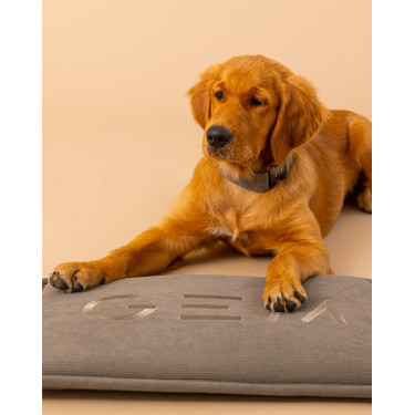 Tapis pour chien GEM 40 x 60 cm Kaki