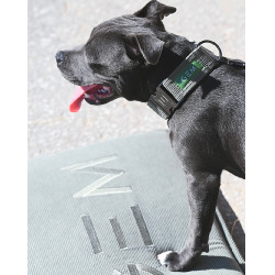 Tapis pour chien GEM 40 x 60 cm Kaki