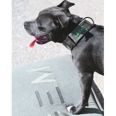 Tapis pour chien GEM 40 x 60 cm Kaki