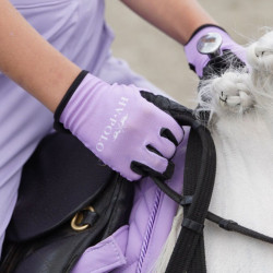 HV Polo Classic Handschoenen Viola