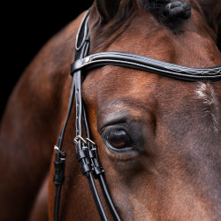 Briglia HV Polo Legacy Nero