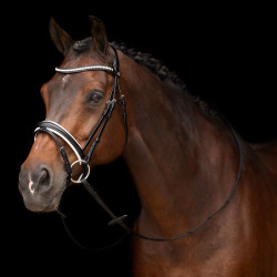 Bridon HV Polo Legacy deluxe Nero bianco