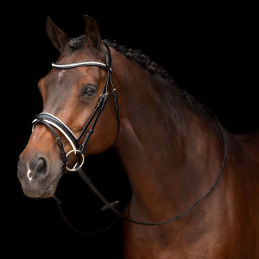 Bridon HV Polo Legacy deluxe Nero bianco