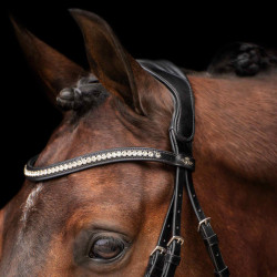 Bridon HV Polo Legacy deluxe Nero bianco