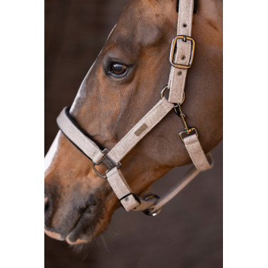 Capezza HV Polo Francis Capezza HV Polo Francis