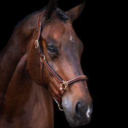 Capestro HV Polo Legacy Marrone