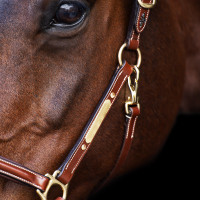 Capestro HV Polo Legacy Marrone