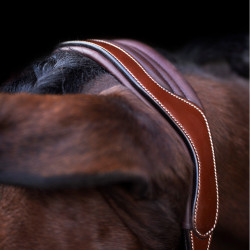 Capestro HV Polo Legacy Marrone