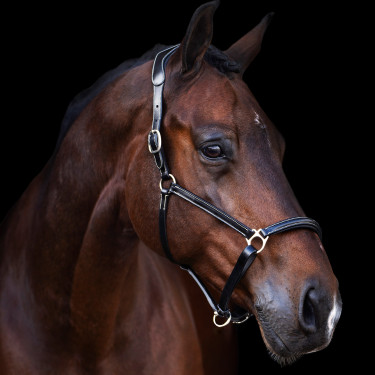 Capestro HV Polo Legacy Nero Capestro HV Polo Legacy Nero