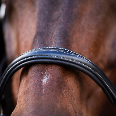 Capestro HV Polo Legacy Nero Capestro HV Polo Legacy Nero