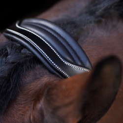 Capestro HV Polo Legacy Nero