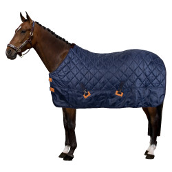 Coperta da scuderia HV Polo Jet