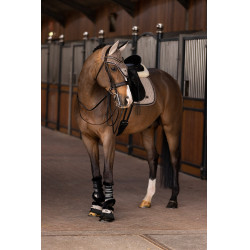 Ghette da dressage HV Polo Francis Ghette da dressage HV Polo Francis