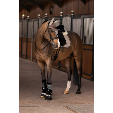 Ghette da dressage HV Polo Francis Ghette da dressage HV Polo Francis