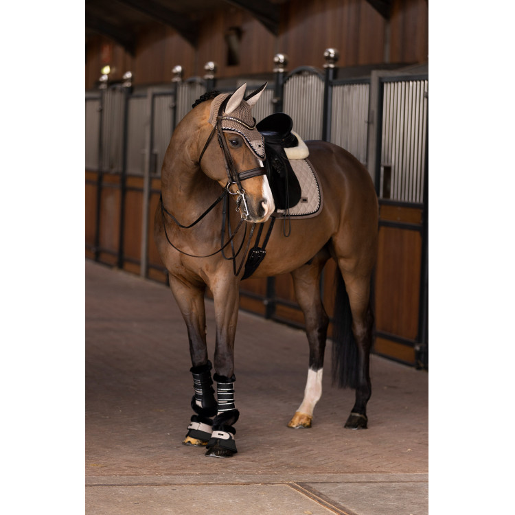 Ghette da dressage HV Polo Francis Ghette da dressage HV Polo Francis