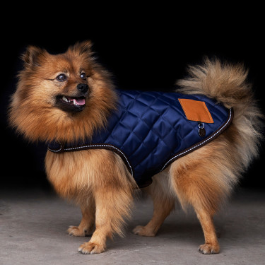 Cappotto per cane HV Polo Bobby Cappotto per cane HV Polo Bobby