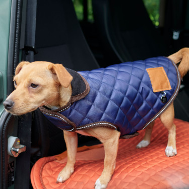 Cappotto per cane HV Polo Bobby Cappotto per cane HV Polo Bobby
