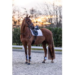 Ghette Imperial Riding Lovely Ghette Imperial Riding Lovely