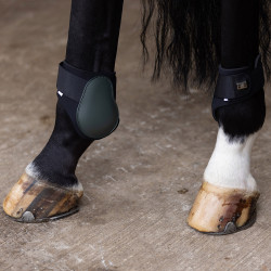 Paranocche Imperial Riding Lovely Foresta profonda Verde