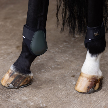 Paranocche Imperial Riding Lovely Foresta profonda Verde