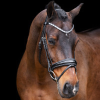 Bridon Impérial Riding Olympia Nero argento Bridon Impérial Riding Olympia Nero argento