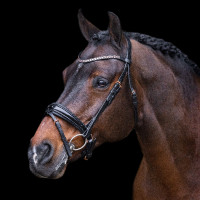 Bridon Impérial Riding Olympia Nero / oro rosa