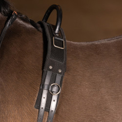 Surcingle da volteggio Imperial Riding Vito Surcingle da volteggio Imperial Riding Vito