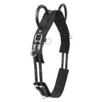 Sottopancia da volteggio Imperial Riding Vidal Nero