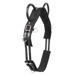 Sottopancia da volteggio Imperial Riding Vidal