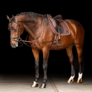 Redine elastica Imperial Riding Marrone