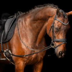 Redine elastica Imperial Riding Redine elastica Imperial Riding