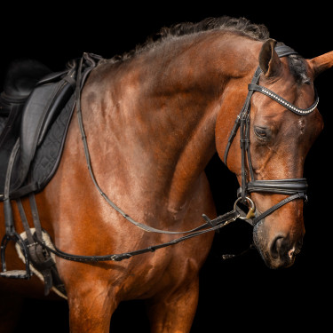 Redine elastica Imperial Riding Redine elastica Imperial Riding