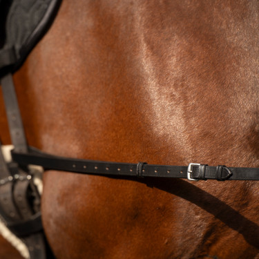 Redine elastica Imperial Riding Redine elastica Imperial Riding