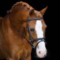 Briglia shetland Imperial Riding Stormy Nero / cristallo