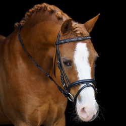 Briglia shetland Imperial Riding Stormy Briglia shetland Imperial Riding Stormy
