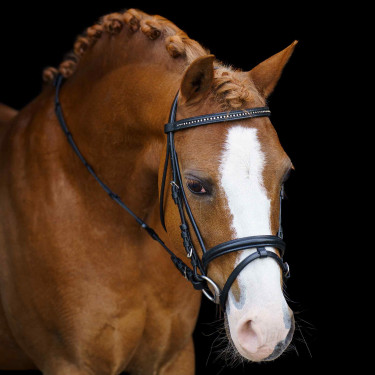 Briglia shetland Imperial Riding Stormy Briglia shetland Imperial Riding Stormy