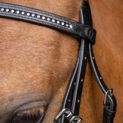 Briglia shetland Imperial Riding Stormy Briglia shetland Imperial Riding Stormy