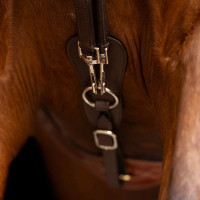 Redini tedesche SH Imperial Riding Core Marrone