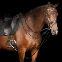 Redini tedesche SH Imperial Riding Core Marrone Redini tedesche SH Imperial Riding Core Marrone